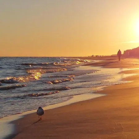 アパート In With Kitchen