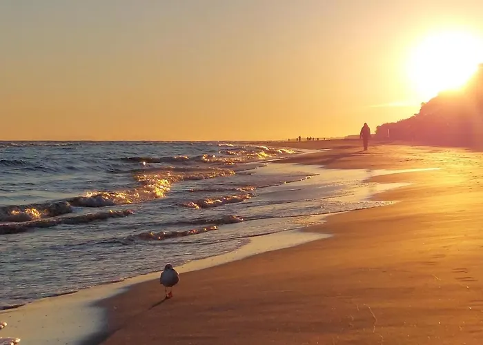 Lägenhet In With Kitchen
